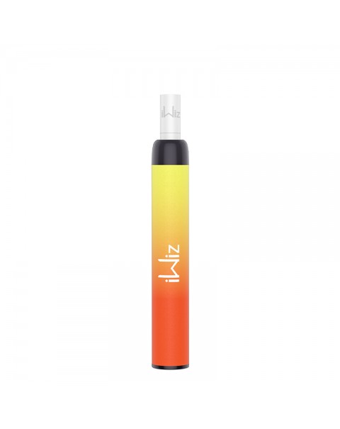 IWIZ Puti Disposable Pod Kit with Filter 550 Puffs 400mAh