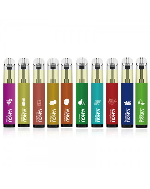 Vangu P20 Pro Disposable Pod Device 2000 Puffs 1100mAh